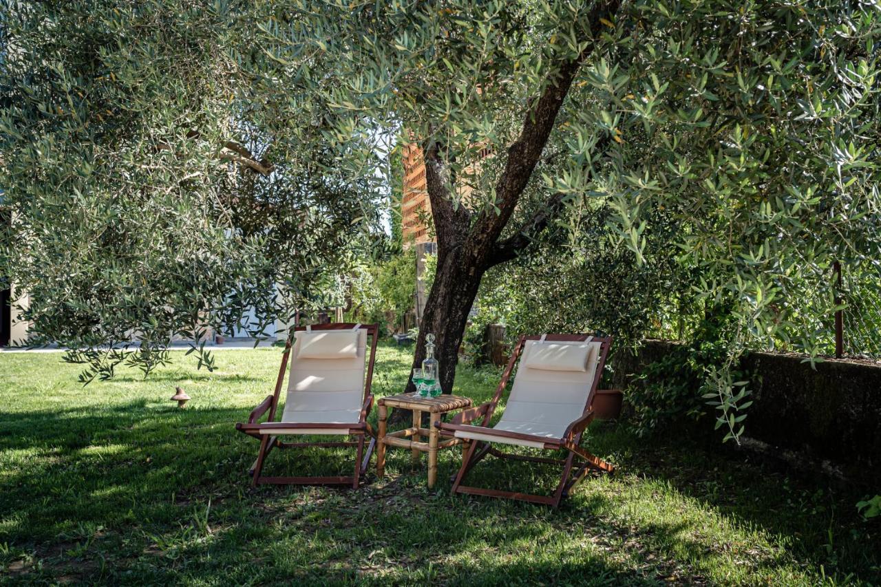Villa Galgani Lucca Exterior photo